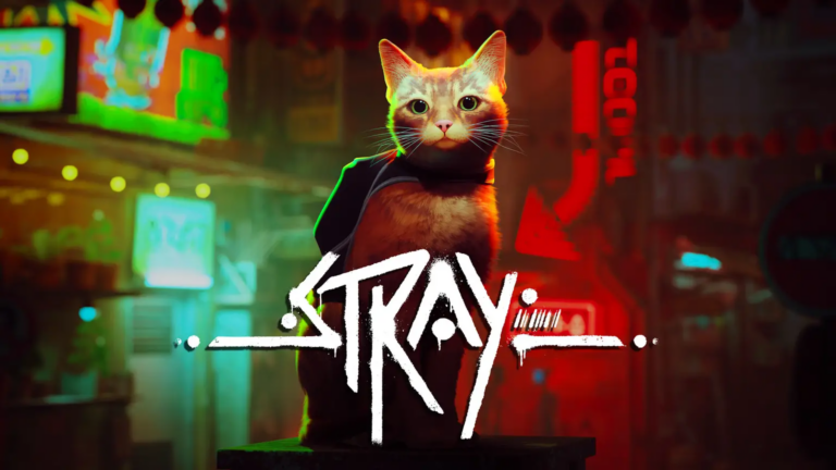 Everything We Know About Stray So Far