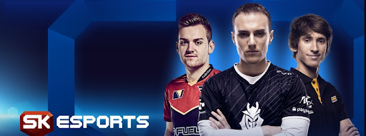 SK esports banner