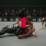 What AEW Fight Forever Has to Get Right