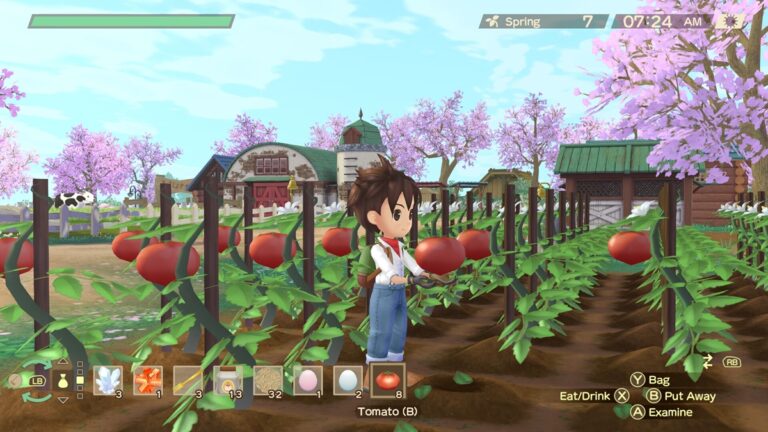 Story of Seasons A Wonderful Life Gift Guide - image of farming