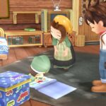 SoSAWL Matthew Guide – Gifts, Diary, Marriage