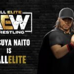 Tetsuya Naito CAW Formula  - AEW Fight Forever
