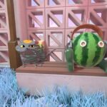 Viewfinder Chapter 4 Level 9.1 Solution - Watermelon Puzzle