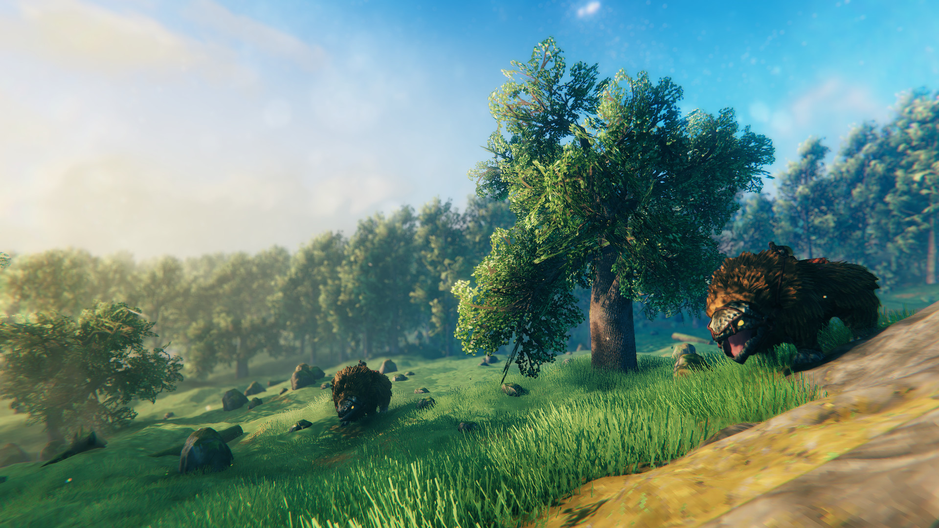 Valheim Where To Get Chains at Barbara Reagan blog