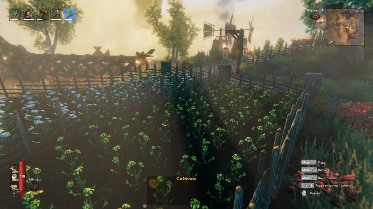 valheim flax guide - image from gameplay