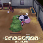 Story of Seasons Grand Bazaar Tea Leaves Guide